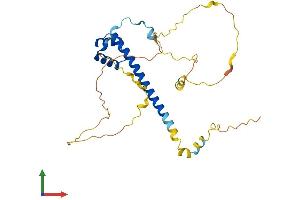 AlphaFold protein structure predicition of Mouse Recombinant Tlx3 Protein, UniprotID O55144