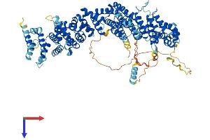 AlphaFold protein structure predicition of Mouse Recombinant Telo2 Protein, UniprotID Q9DC40