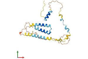 AlphaFold protein structure predicition of Mouse Recombinant Sertad1 Protein, UniprotID Q9JL10