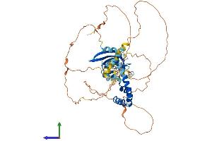 AlphaFold protein structure predicition of Mouse Recombinant Hbp1 Protein, UniprotID Q8R316