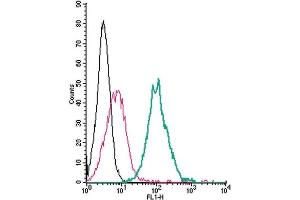 Cell surface detection of SLC11A1/NRAMP1 by direct flow cytometry in live intact mouse J774 macrophage cells: + Rabbit IgG isotype control-FITC.