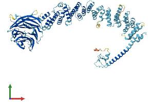 AlphaFold protein structure predicition of Mouse Recombinant Tgfbrap1 Protein, UniprotID Q3UR70