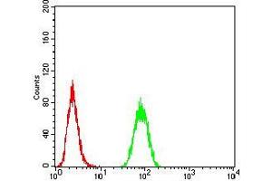 Flow cytometric analysis of Hela cells using RAD18 mouse mAb (green) and negative control (red).