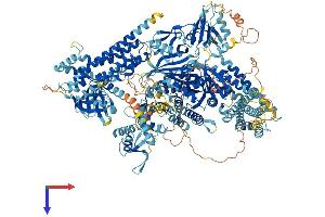AlphaFold protein structure predicition of Mouse Recombinant Prex2 Protein, UniprotID Q3LAC4