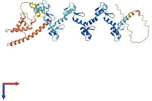 AlphaFold protein structure predicition of Human Recombinant ZNF714 Protein, UniprotID Q96N38