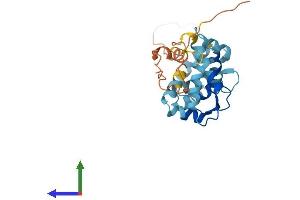 AlphaFold protein structure predicition of Mouse Recombinant Kcnip3 Protein, UniprotID Q9QXT8
