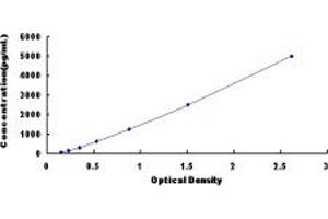 Typical standard curve (EMILIN2 Kit ELISA)