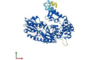 AlphaFold protein structure predicition of Mouse Recombinant Stxbp2 Protein, UniprotID Q64324