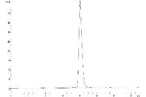 The purity of Human LILRB1 is greater than 95 % as determined by SEC-HPLC.