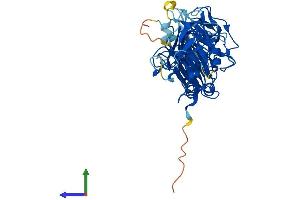 AlphaFold protein structure predicition of Mouse Recombinant Peli1 Protein, UniprotID Q8C669