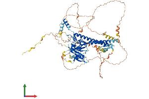 AlphaFold protein structure predicition of Human Recombinant BAP1 Protein, UniprotID Q92560