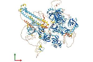 AlphaFold protein structure predicition of Mouse Recombinant Rnf17 Protein, UniprotID Q99MV7