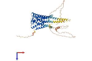 AlphaFold protein structure predicition of Human Recombinant PTGER4 Protein, UniprotID P35408