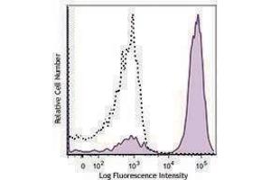 Flow Cytometry (FACS) image for Rat anti-Mouse Ig (Light Chain) antibody (PE) (ABIN2667180) (Rat anti-Souris Ig (Light Chain) Anticorps (PE))