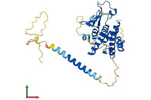 AlphaFold protein structure predicition of Human Recombinant AIMP2 Protein, UniprotID Q13155