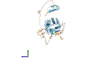 AlphaFold protein structure predicition of Human Recombinant ZNF12 Protein, UniprotID P17014