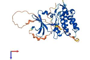 AlphaFold protein structure predicition of Human Recombinant TRIB2 Protein, UniprotID Q92519