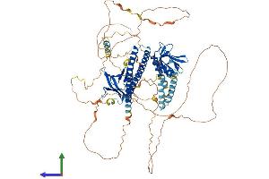 AlphaFold protein structure predicition of Human Recombinant AFAP1L2 Protein, UniprotID Q8N4X5