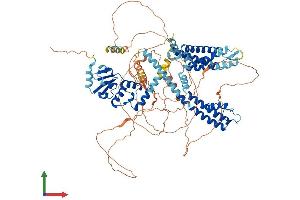 AlphaFold protein structure predicition of Human Recombinant KCNB1 Protein, UniprotID Q14721