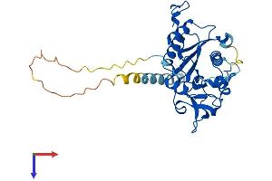 AlphaFold protein structure predicition of Mouse Recombinant B3gat1 Protein, UniprotID Q9CW73