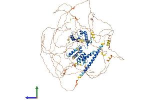 AlphaFold protein structure predicition of Mouse Recombinant Mrtfb Protein, UniprotID P59759