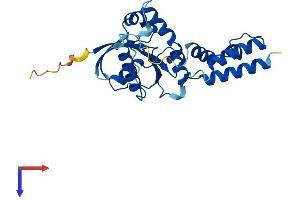AlphaFold protein structure predicition of Mouse Recombinant Dnajc27 Protein, UniprotID Q8CFP6