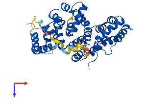 AlphaFold protein structure predicition of Human Recombinant ANXA9 Protein, UniprotID O76027