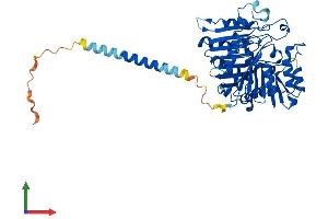 AlphaFold protein structure predicition of Mouse Recombinant Pld3 Protein, UniprotID O35405