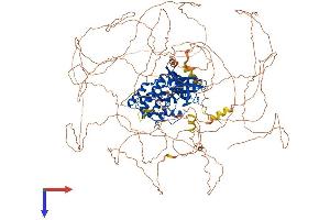 AlphaFold protein structure predicition of Human Recombinant TTBK2 Protein, UniprotID Q6IQ55