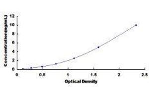 Mitochondrial Antiviral Signaling Protein (MAVS) ELISA Kit