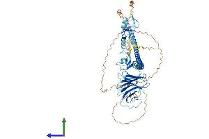 AlphaFold protein structure predicition of Human Recombinant TRIM41 Protein, UniprotID Q8WV44