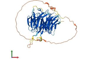 AlphaFold protein structure predicition of Human Recombinant DPH7 Protein, UniprotID Q9BTV6