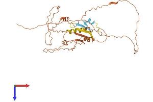 AlphaFold protein structure predicition of Mouse Recombinant Cpxcr1 Protein, UniprotID Q3V0P1