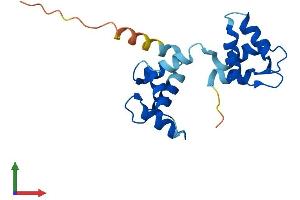 AlphaFold protein structure predicition of Human Recombinant MYL5 Protein, UniprotID Q02045
