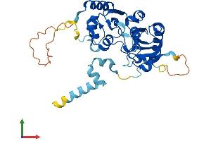 AlphaFold protein structure predicition of Mouse Recombinant Cdc123 Protein, UniprotID Q8CII2
