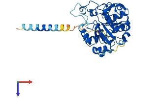 AlphaFold protein structure predicition of Mouse Recombinant St3gal4 Protein, UniprotID Q91Y74