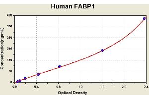 Diagramm of the ELISA kit to detect Human FABP1with the optical density on the x-axis and the concentration on the y-axis. (FABP1 Kit ELISA)