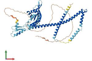 AlphaFold protein structure predicition of Human Recombinant NUP54 Protein, UniprotID Q7Z3B4