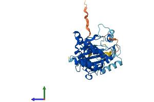 AlphaFold protein structure predicition of Human Recombinant NEK7 Protein, UniprotID Q8TDX7