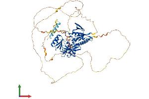 AlphaFold protein structure predicition of Mouse Recombinant Syn1 Protein, UniprotID O88935