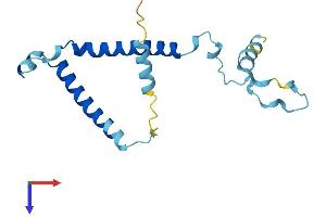 AlphaFold protein structure predicition of Human Recombinant PIGP Protein, UniprotID P57054