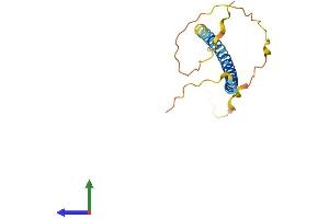 AlphaFold protein structure predicition of Human Recombinant SCOC Protein, UniprotID Q9UIL1