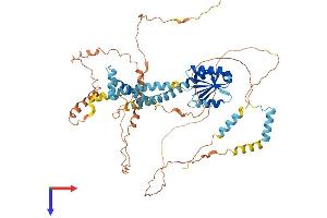 AlphaFold protein structure predicition of Mouse Recombinant Ncoa5 Protein, UniprotID Q91W39