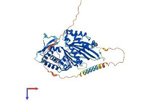 AlphaFold protein structure predicition of Human Recombinant ENTPD6 Protein, UniprotID O75354
