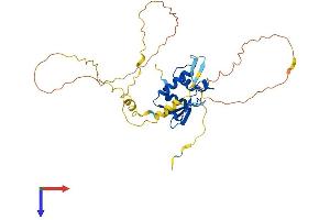 AlphaFold protein structure predicition of Mouse Recombinant Irf1 Protein, UniprotID P15314