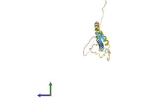 AlphaFold protein structure predicition of Human Recombinant KLRC4 Protein, UniprotID O43908