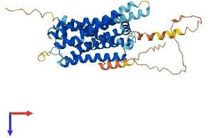 Histamine Receptor H2 (HRH2) (AA 1-397) protein (His tag)
