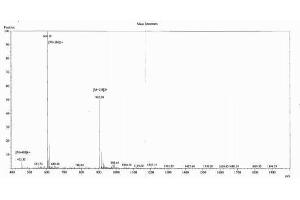Prepronociceptin (PNOC) peptide (Ovalbumin)