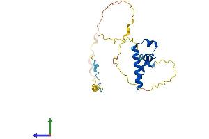 AlphaFold protein structure predicition of Human Recombinant SSX3 Protein, UniprotID Q99909