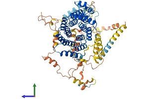 AlphaFold protein structure predicition of Human Recombinant PEX5 Protein, UniprotID P50542